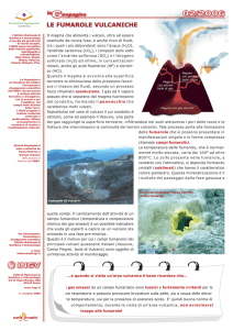 le fumarole vulcaniche - L`Istituto - Istituto Nazionale di Geofisica e