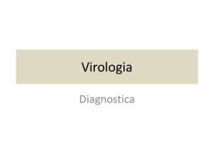06-Diagnostica