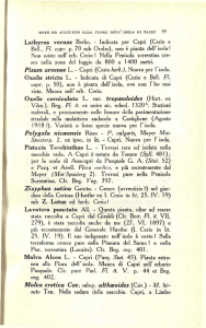 Lathyrus vernus Berlin. - Indicata per Capri (Cerio e Bell., FI. capr. p