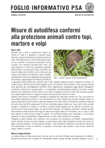 Misure di autodifesa conformi alla protezione animali contro topi