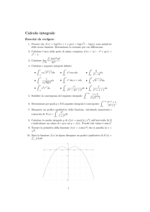 Calcolo integrale - Alessandro Gambini
