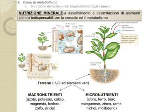 Nutrizione minerale e cicli biogeochimichi degli elementi