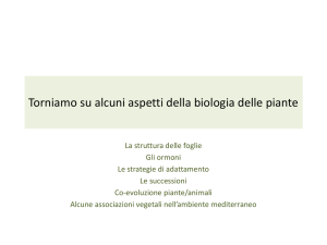 Alcuni aspetti della biologia delle piante