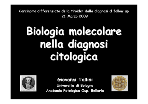 Tallini - Associazione Medici Endocrinologi