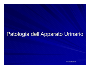 38. Patologia Apparato Uriniario (pdf 183 Kb)