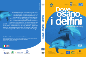 Cover DVD delfini - Provincia di Agrigento