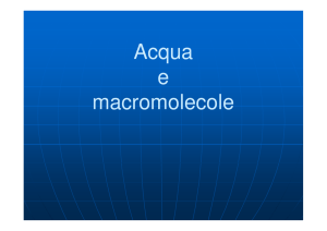 (Microsoft PowerPoint - Acqua e Biomolecole [modalit\340