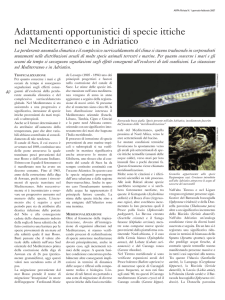Adattamenti opportunistici di specie ittiche nel Mediterraneo e in