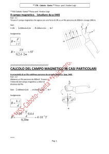 CALCOLO DEL CAMPO MAGNETICO IN CASI PARTICOLARI