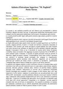 Relazione - IIS Paglietti