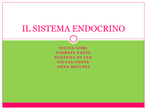 il sistema endocrino - Blog Scuola Secondaria I^grado Monza