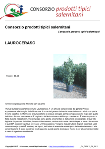 lauroceraso - Consorzio prodotti tipici salernitani