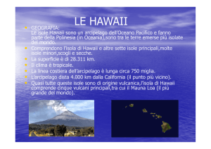Maggioni LE HAWAII [modalità compatibilità]