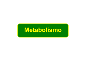 Lezione metabolismo