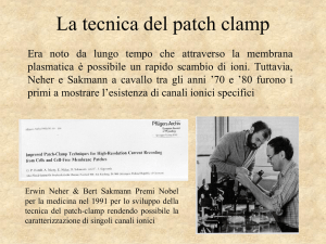 Patch Clamp