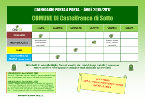 COMUNE DI Castelfranco di Sotto