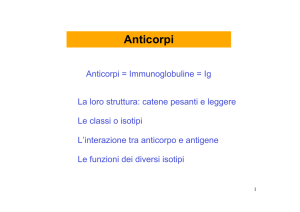 Anticorpi (Ig)