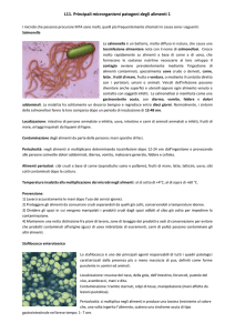 L11. Principali microrganismi patogeni degli alimenti 1