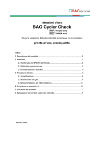 BAG Cycler Check