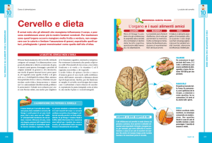 Cervello e dieta