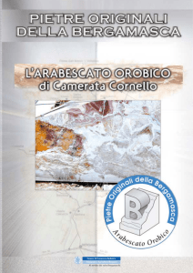Arabescato orobico - natural stone info