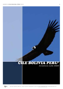 america-cile bolivia peru`-2012 1