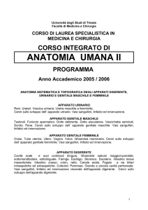 Anatomia II 2005/2006