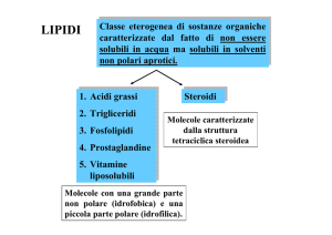 lipidi - Docenti.unina