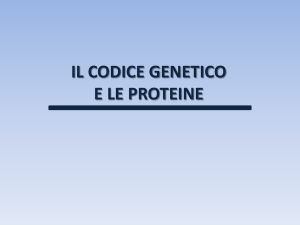 IL CODICE GENETICO E LE PROTEINE