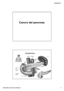 Cancro Pancreas