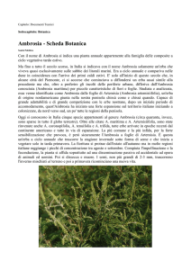 Ambrosia - Scheda Botanica - Geo
