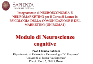 Claudio Babiloni, Neurofisiologia