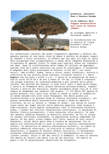 Artemisia, Soleventi Tour e Socotra Dreams 1524 febbraio 2013