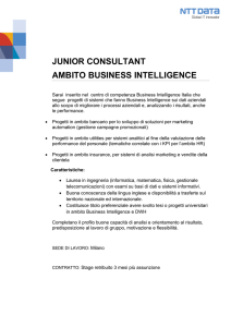 junior consultant ambito business intelligence
