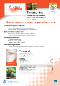 Timasprint - Timac Agro Italia SpA