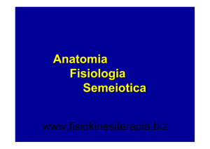 Anatomia Fisiologia Semeiotica