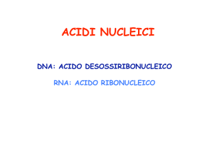 03_ac nucleic - Docenti.unina
