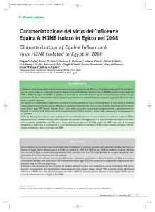 Caratterizzazione del virus dell`Influenza Equina A H3N8 isolato in