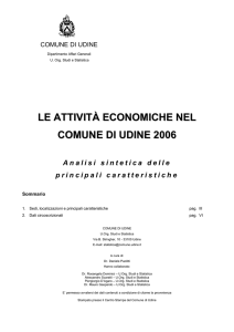 le attività economiche nel comune di udine 2006