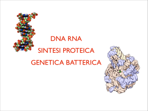 DNA RNA SINTESI PROTEICA GENETICA BATTERICA
