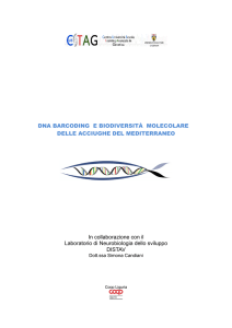 DNA BARCODING E BIODIVERSITÀ MOLECOLARE