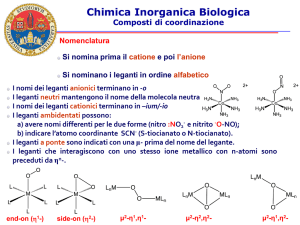 Chimica Inorganica Biologica Composti di