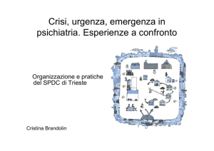 Organizzazioni e pratiche dell`SPDC di Trieste [file]
