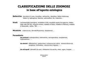 5.Classificazione zoonosi