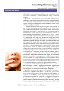 Eruzione dei denti - Zanichelli online per la scuola