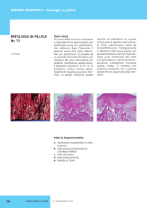 Perriard U,Colite pseudomembranosa da Clostridium difficile, luglio