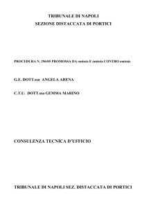 perizia tecnica 269 (pdf 516 kB)