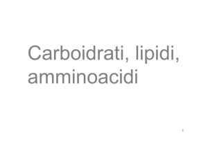 carboidrati_lipidi_amminoacidi