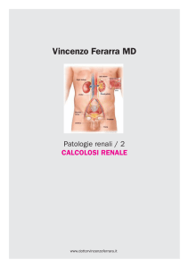 Vincenzo Ferarra MD - Vincenzo Ferrara MD