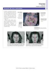 Armonie del viso e asimmetrie - Zanichelli online per la scuola
